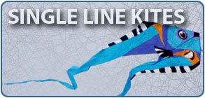 Single line kites
