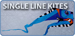 Single line kites
