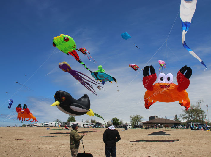 Giant show kites at the Great Lakes Kite Festival