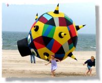 Great Lakes Kite Festival