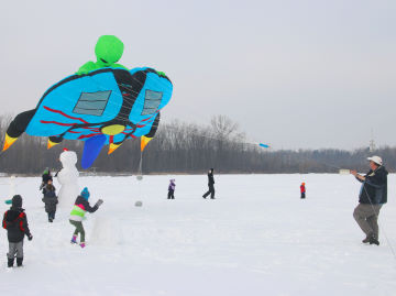 Darryl Waters unveiled his new Alien kite for us at the 2015 Reeds Lake Ice Fly