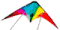 Dual Line Kites