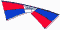 Quad Line Kites