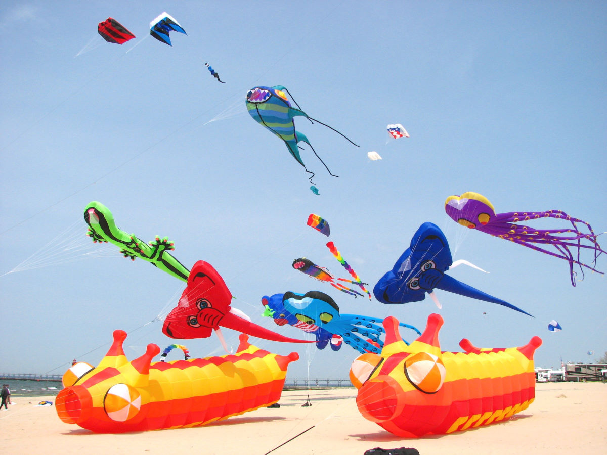 Great Lakes Kite Festival